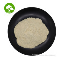 /msite/products/detail/productid/60941854/id/1337892.html